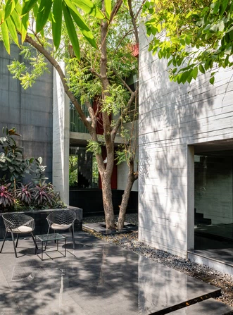 Alias_project_Trees-Sliced-Through_3