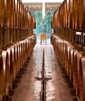 Alias_Cantine-Cusumano_1