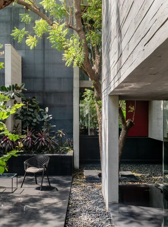 Alias_project_Trees-Sliced-Through_2