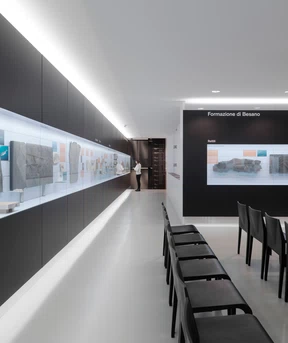 Alias_Museo-dei-Fossili_1