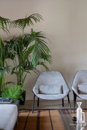 Alias_Set_Home_GRAN-KOBI_5