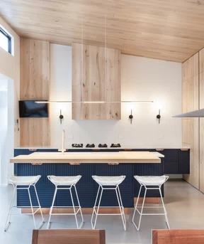 Alias_project_Private-house-Lane-Cove_1