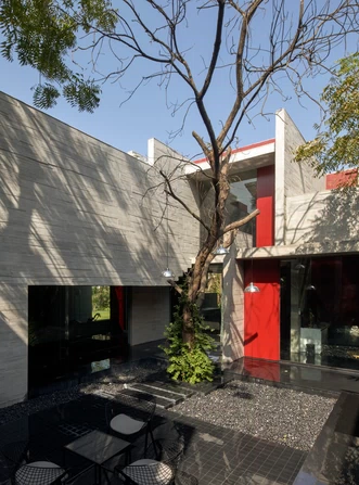 Alias_project_Trees-Sliced-Through_1