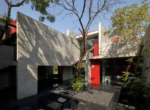 Alias_project_Trees-Sliced-Through_1