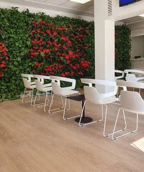 Alias_Ospedale-Villa-Sofia_2